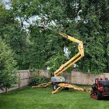 Best Seasonal Cleanup (Spring/Fall)  in Montgomery, OH
